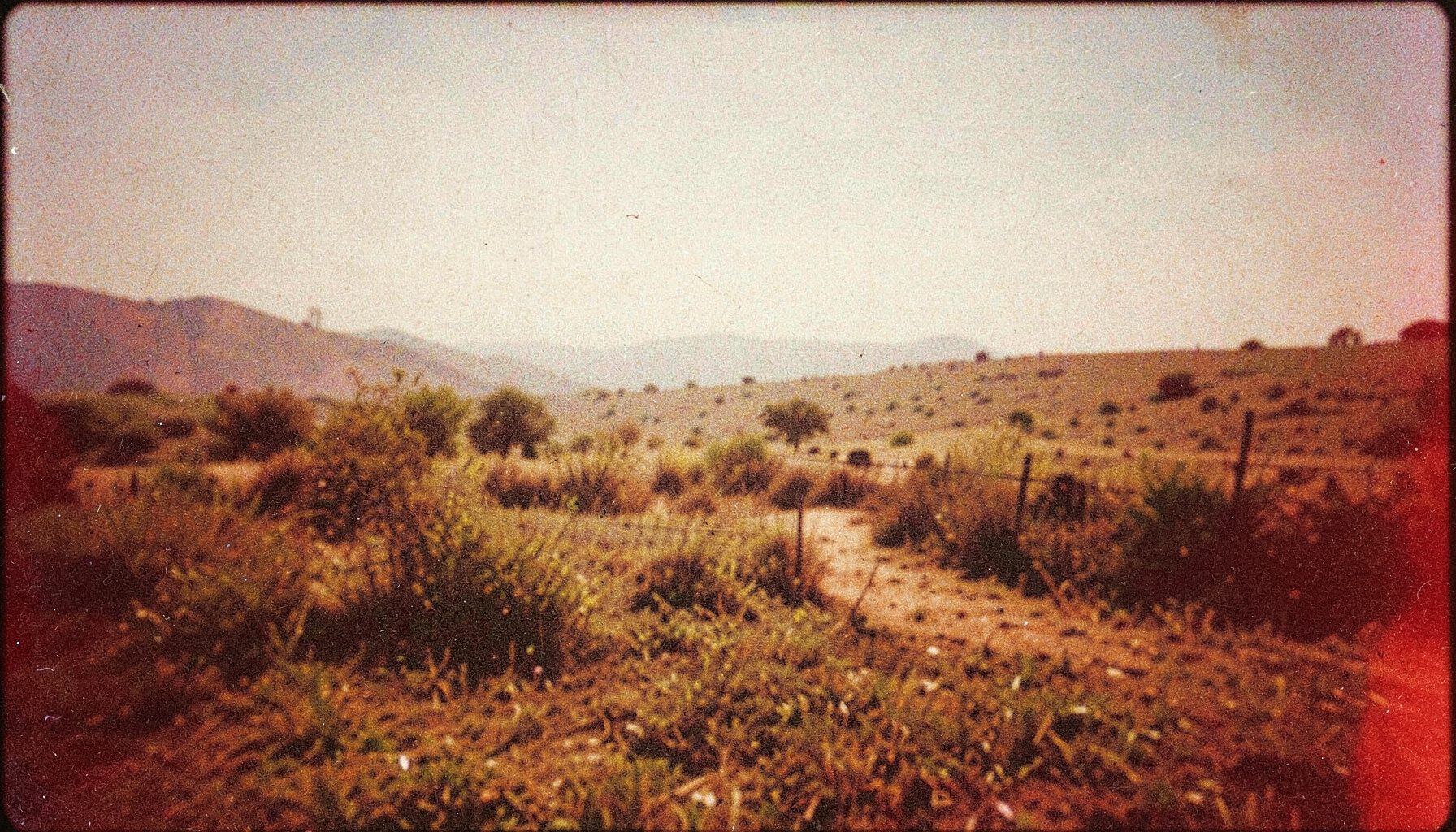 A grainy analog film still with rich earthy browns and muted golds, evoking a rural Punjabi landscape under soft afternoon light
